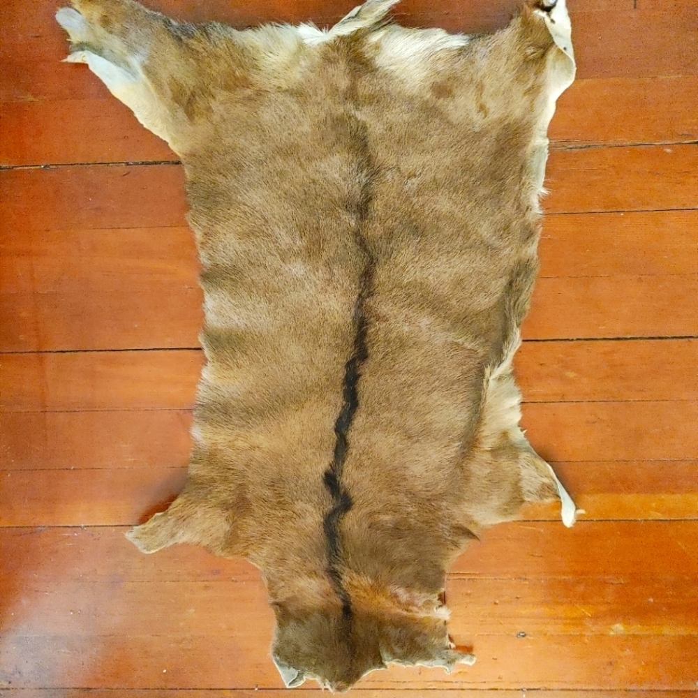 Vintage goat pelt